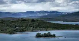 Buskerud
